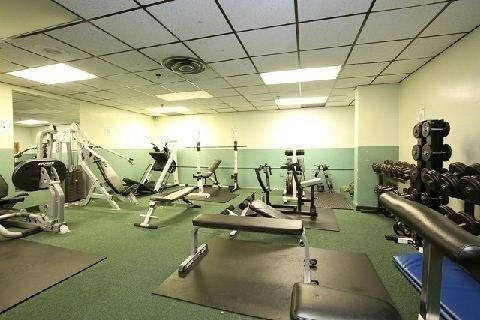 Rent Condo C4977983