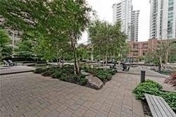Rent Condo C5000807