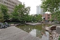 Rent Condo C5000807