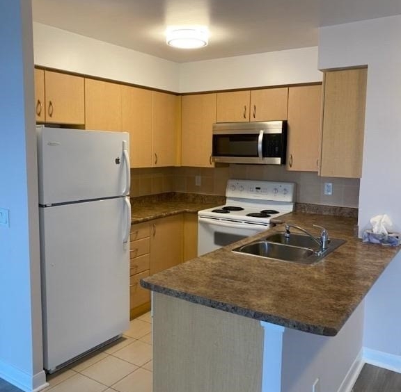 Rent Condo C5192116