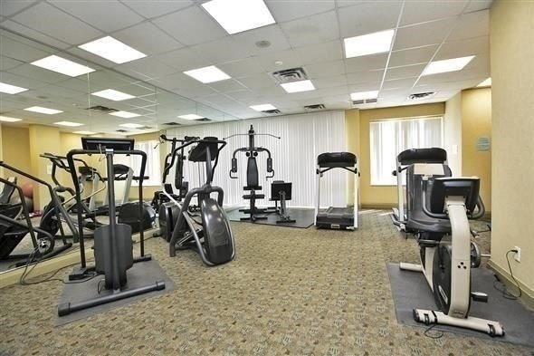 Rent Condo N5281352